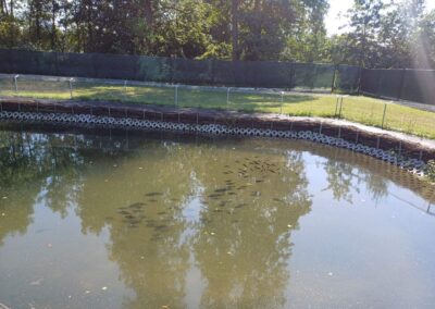 Resized_1000000768_1761845216739